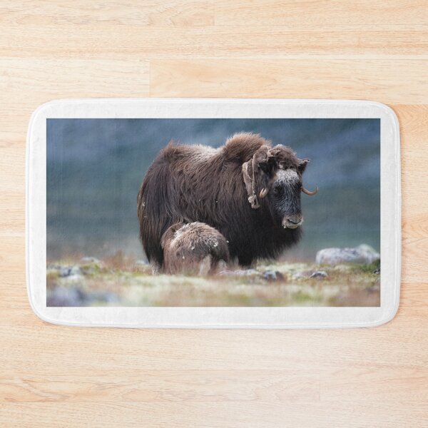 Item preview, A muskox calf suckling designed and sold by C-B-Stuedal.
