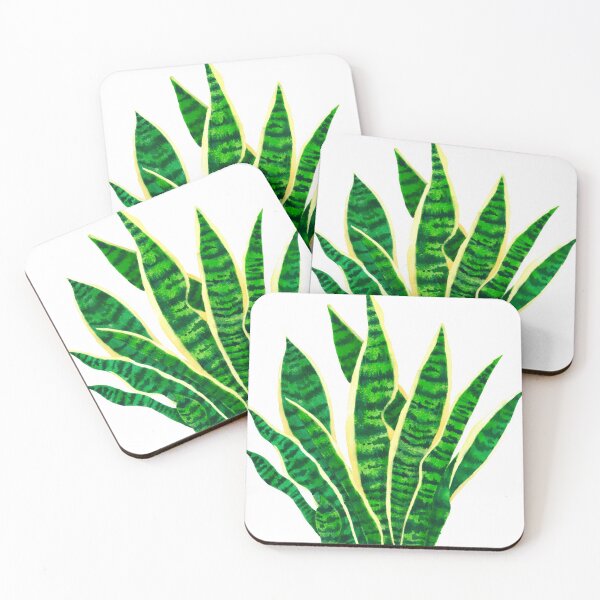 Item preview, Dracaena rifasciata or Mother-in-law's Tongue designed and sold by Maleclaria.