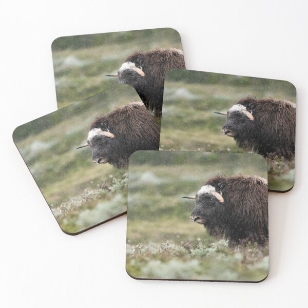 Item preview, Muskox in rain designed and sold by C-B-Stuedal.