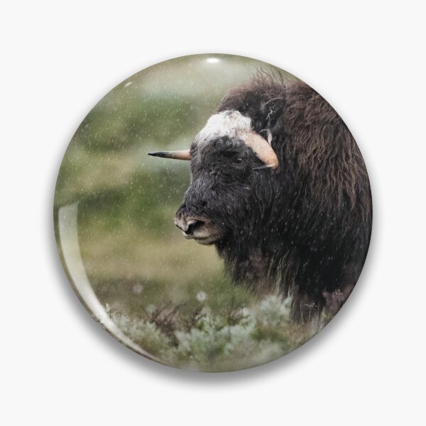 Item preview, Muskox in rain designed and sold by C-B-Stuedal.