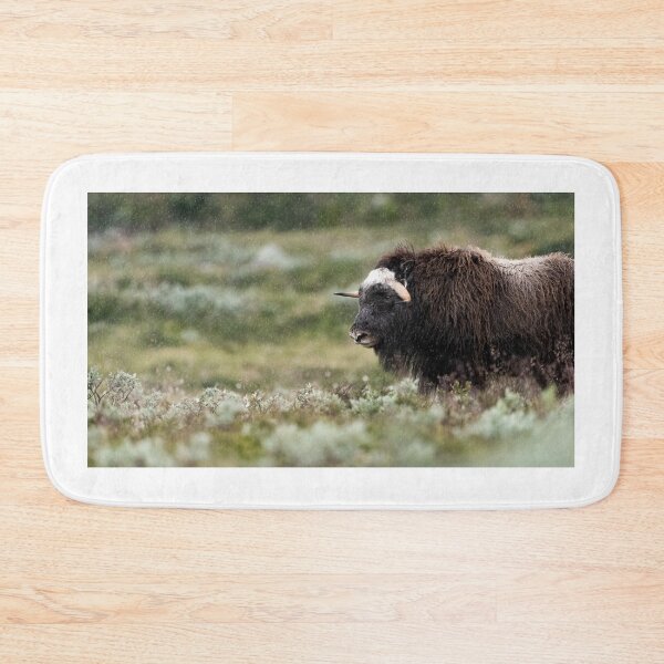 Item preview, Muskox in rain designed and sold by C-B-Stuedal.
