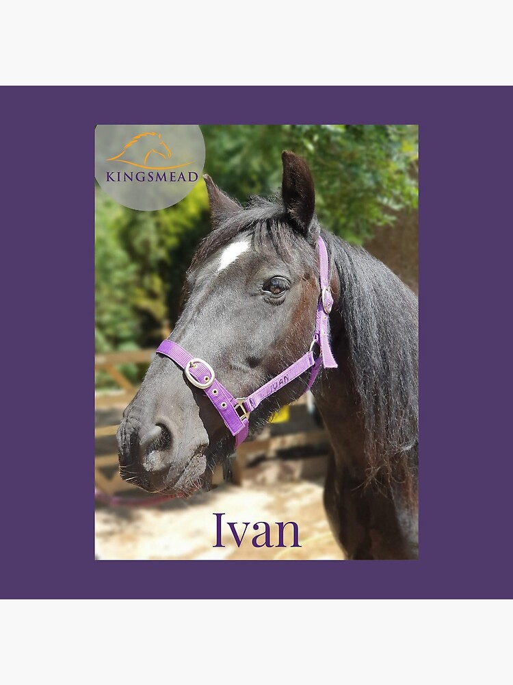 Ivan's Collection by KingsmeadHorses