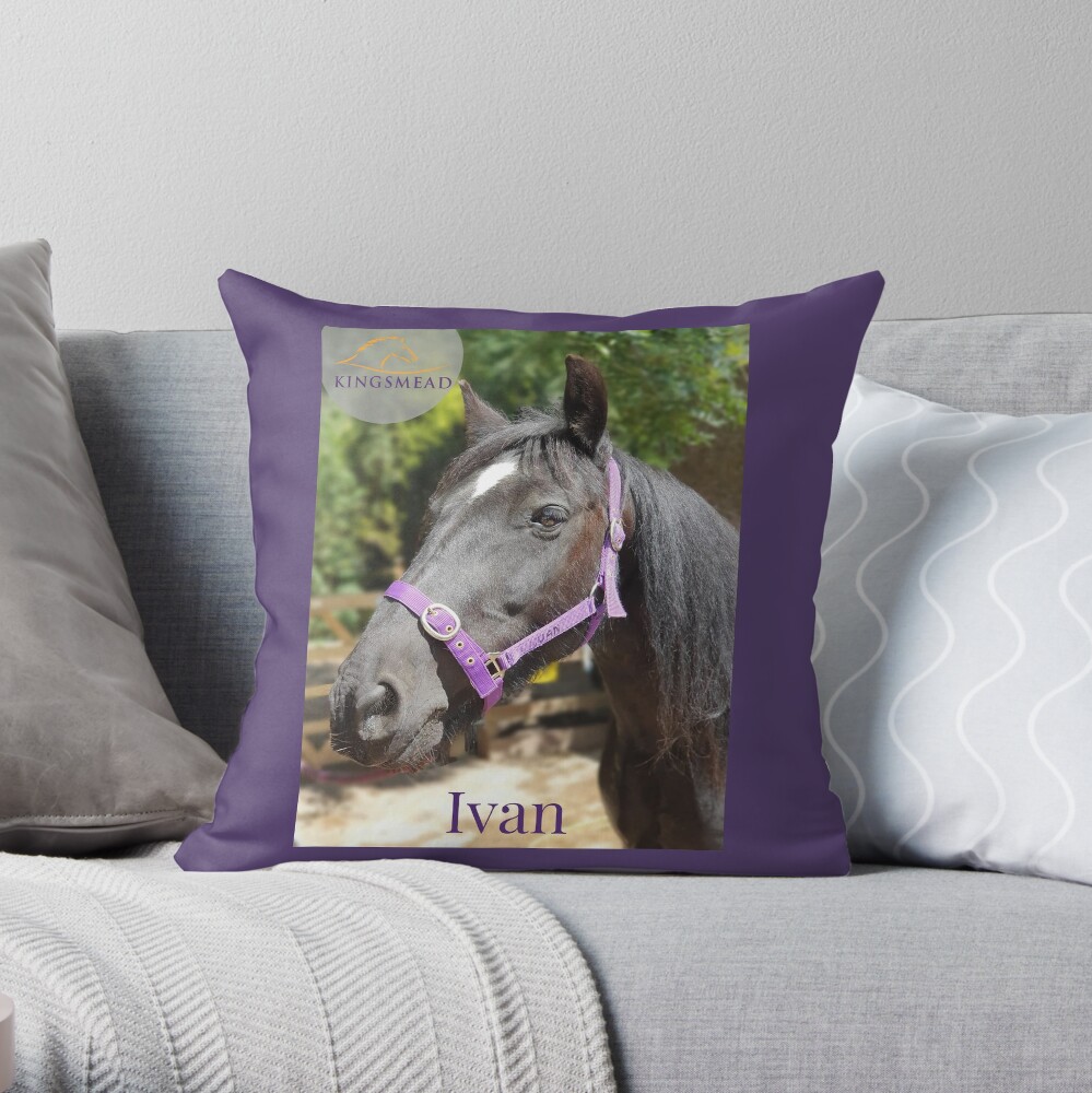 Ivan's Collection Throw Pillow