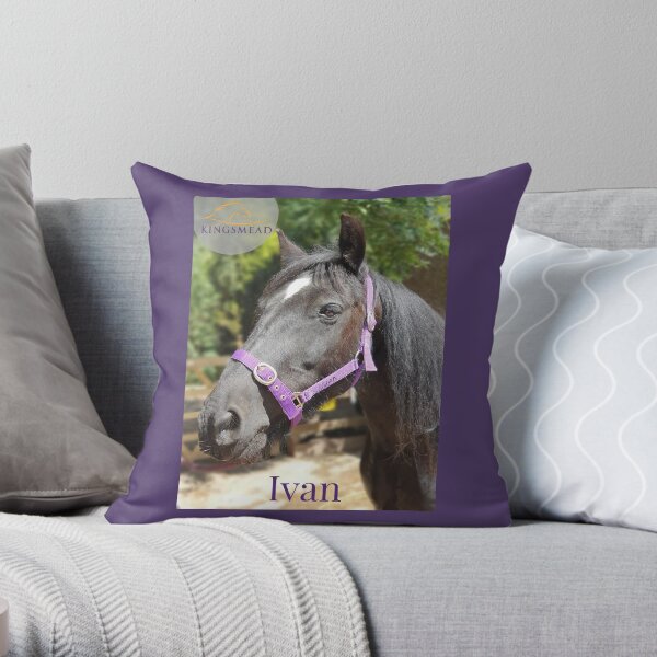 Ivan's Collection Throw Pillow