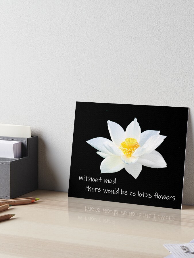 White Lotus Flower Art Board Print For Sale By Danicus666 Redbubble