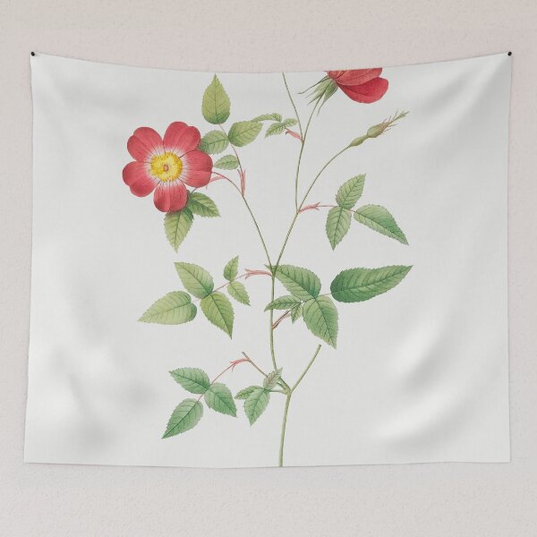 Item preview, Les Roses by Pierre-Joseph Redouté designed and sold by EsotericBotanic.