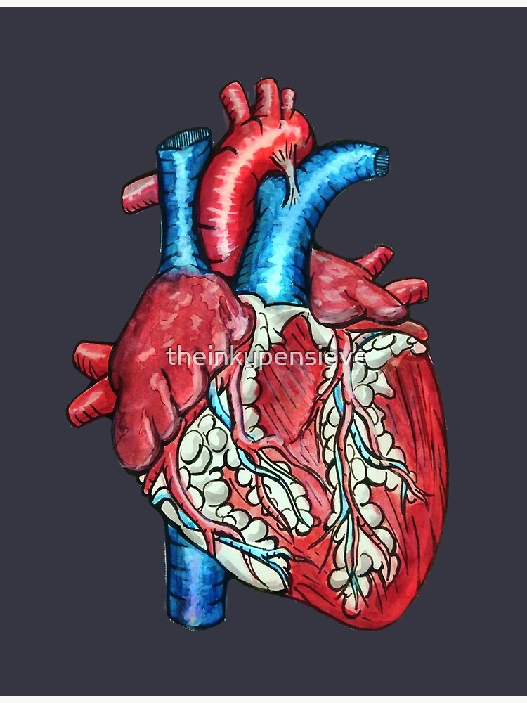 SingeDesigns Anatomical Hand Painted Watercolor Heart T-Shirt