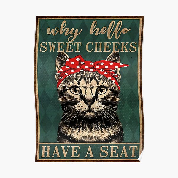 Cat Why Hello Sweet Cheeks Have A Seat Poster