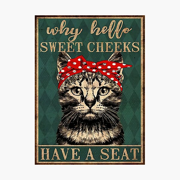 Cat Why Hello Sweet Cheeks Have A Seat Photographic Print