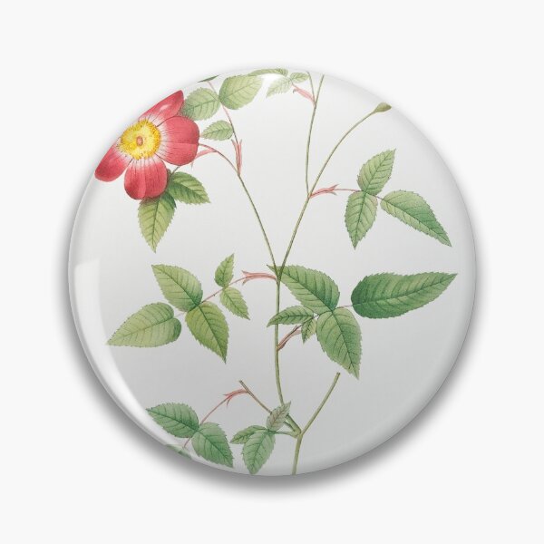 Item preview, Les Roses by Pierre-Joseph Redouté designed and sold by EsotericBotanic.
