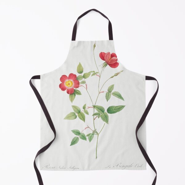 Item preview, Les Roses by Pierre-Joseph Redouté designed and sold by EsotericBotanic.