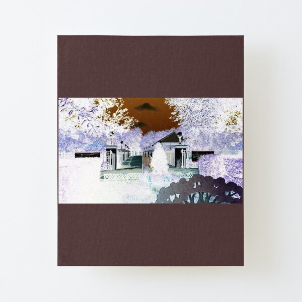 Winter Snow if any in Florida Canvas Mounted Print