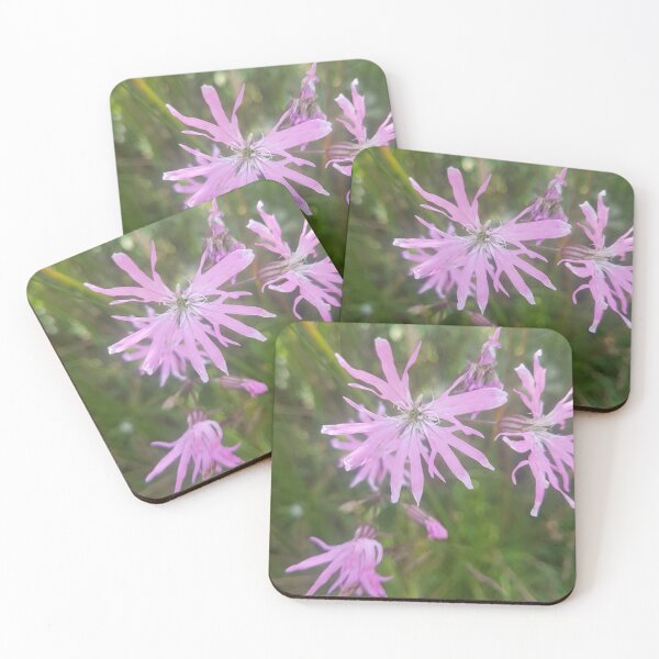 Item preview, Ragged Robin designed and sold by AbnormalLoad.