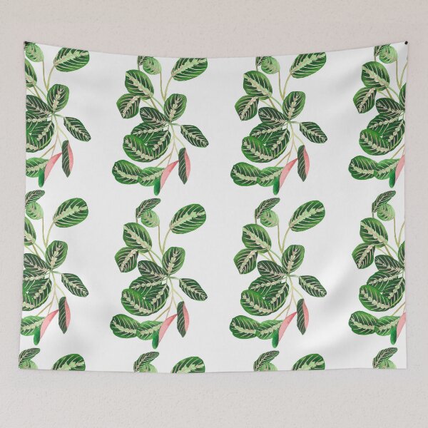 Item preview, Tricolor Maranta designed and sold by Maleclaria.