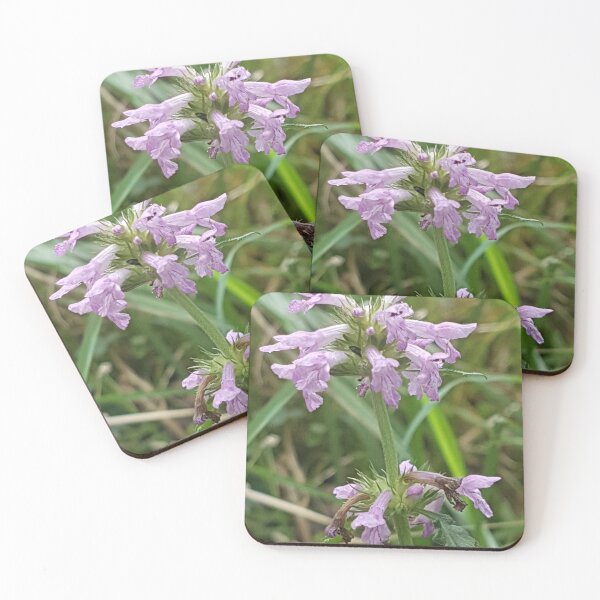 Item preview, Purple Wildflower designed and sold by AbnormalLoad.