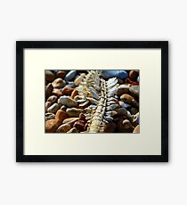 Spine Framed Print