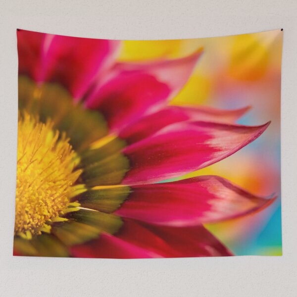 Item preview, Gazania designed and sold by John Velocci.