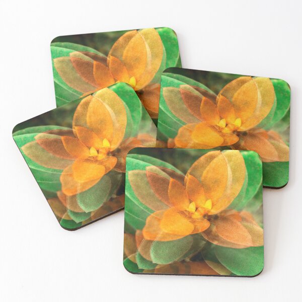 Item preview, Flora Flora designed and sold by Tabacharia.