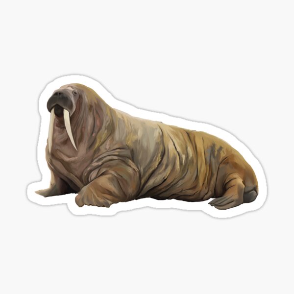 Item preview, Walrus designed and sold by ScribbledToad.