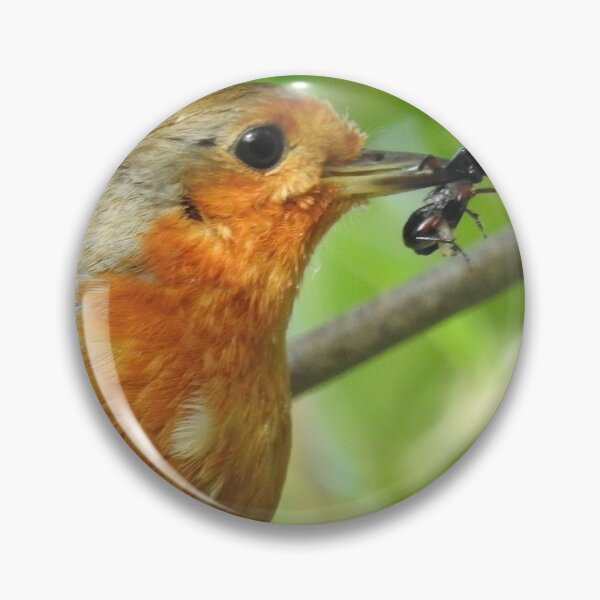 Item preview, Robin with insect in beak designed and sold by Gaynor-dI.