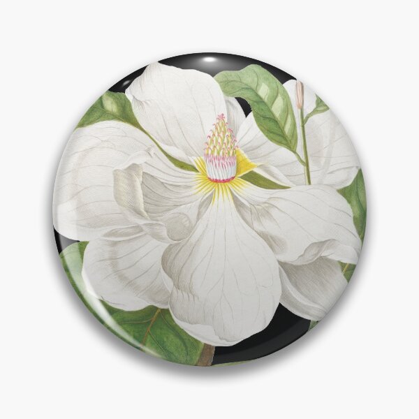 Item preview, Magnolia by Georg Dionysius Ehret. designed and sold by domdjs4239.