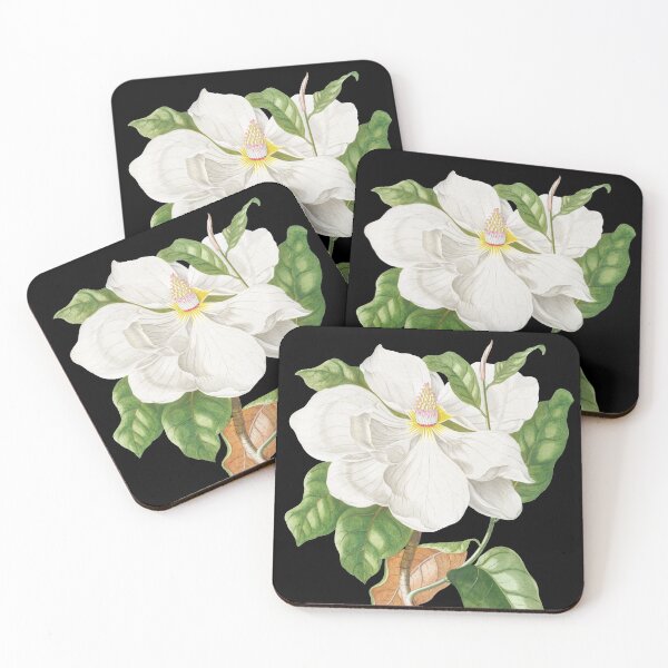 Item preview, Magnolia by Georg Dionysius Ehret. designed and sold by domdjs4239.
