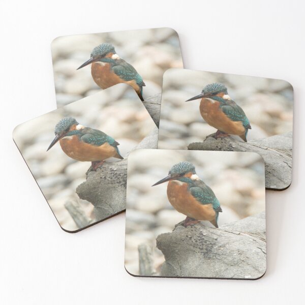 Item preview, Kingfisher,North Wales designed and sold by Derren Jones.