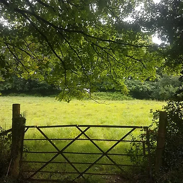 Artwork thumbnail, View through a Gate by AbnormalLoad