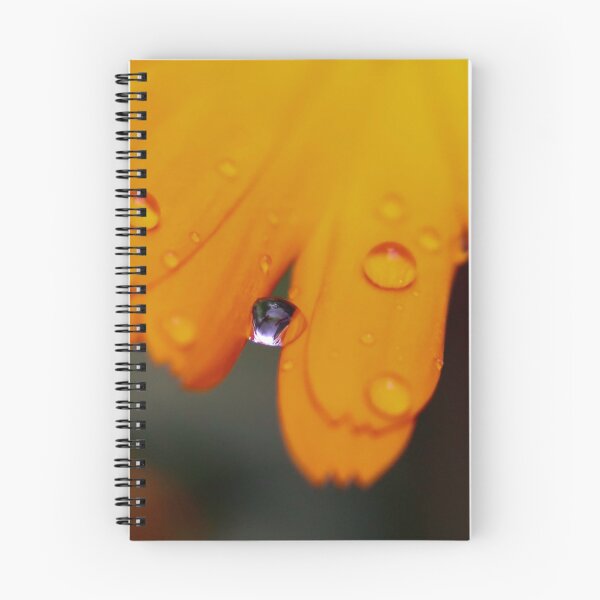 Item preview, Blackeye Susan Flower In The Rain designed and sold by Artsy-Active.