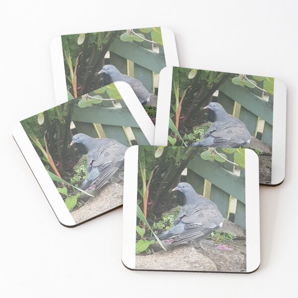 Item preview, Common Woodpigeon in a Garden designed and sold by AbnormalLoad.