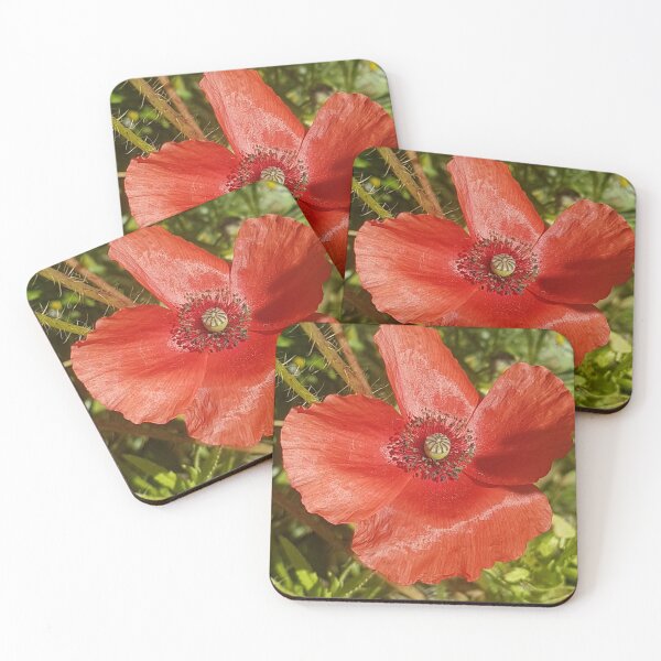Item preview, Sweet Red Poppy designed and sold by AbnormalLoad.