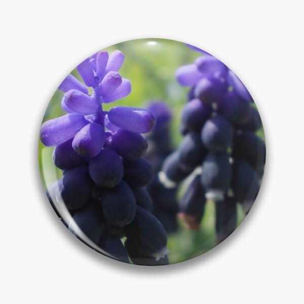 Item preview, Grape Hyacinths designed and sold by demonkourai.