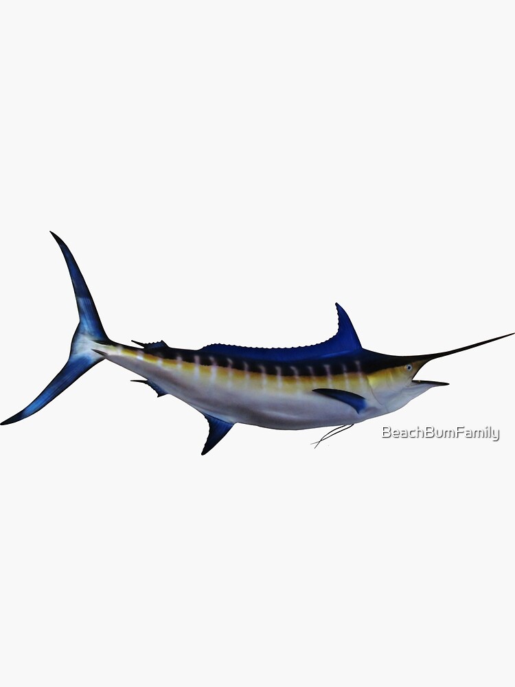 Blue Marlin Fish by BeachBumFamily