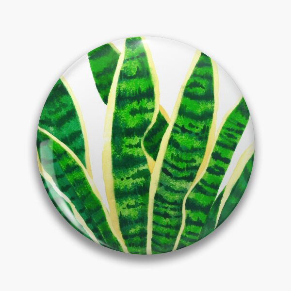 Item preview, Dracaena rifasciata or Mother-in-law's Tongue designed and sold by Maleclaria.