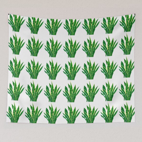 Item preview, Dracaena rifasciata or Mother-in-law's Tongue designed and sold by Maleclaria.