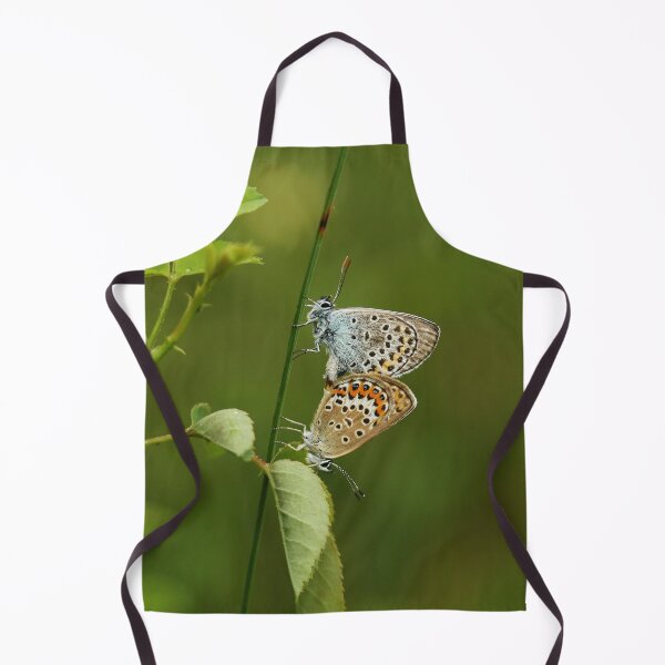 Item preview, Copula of the blue Argus designed and sold by NW-Photo-Art.