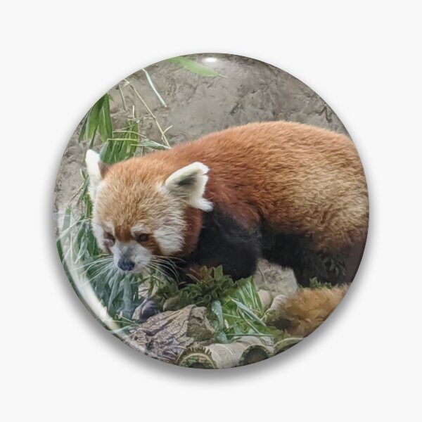Artikelvorschau, Roter Panda entworfen und verkauft von naturegirf.