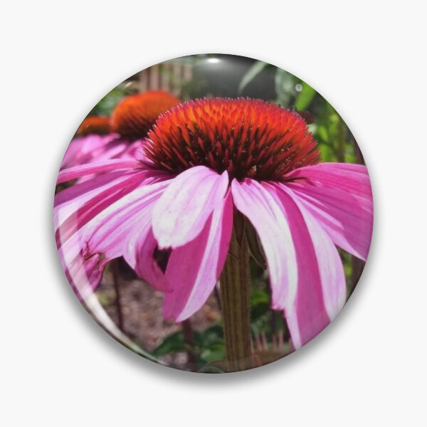 Item preview, Native Echinacea Flowering Plant also called Coneflower. designed and sold by EarthArtDesigns.