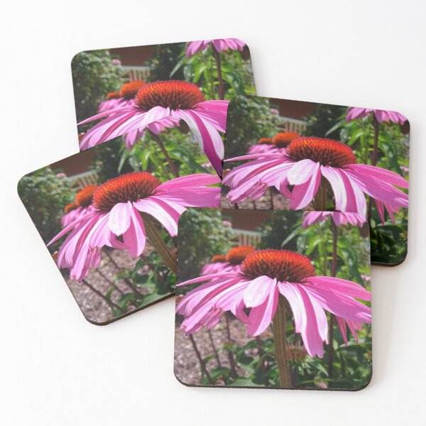 Item preview, Native Echinacea Flowering Plant also called Coneflower. designed and sold by EarthArtDesigns.