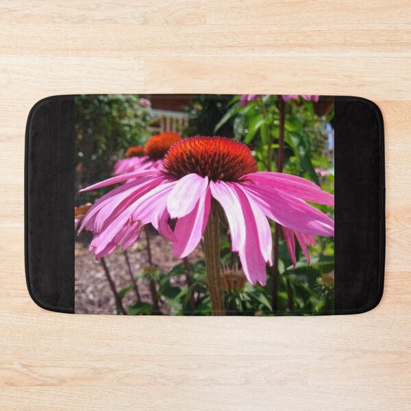 Item preview, Native Echinacea Flowering Plant also called Coneflower. designed and sold by EarthArtDesigns.