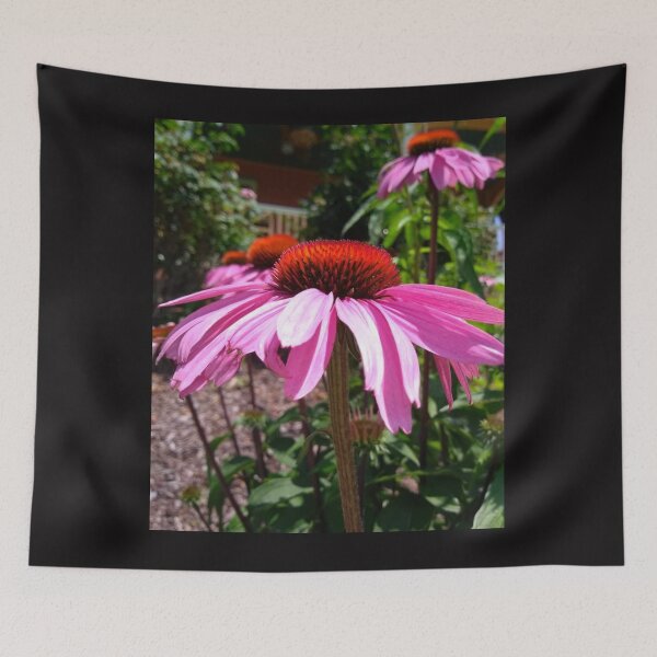 Item preview, Native Echinacea Flowering Plant also called Coneflower. designed and sold by EarthArtDesigns.