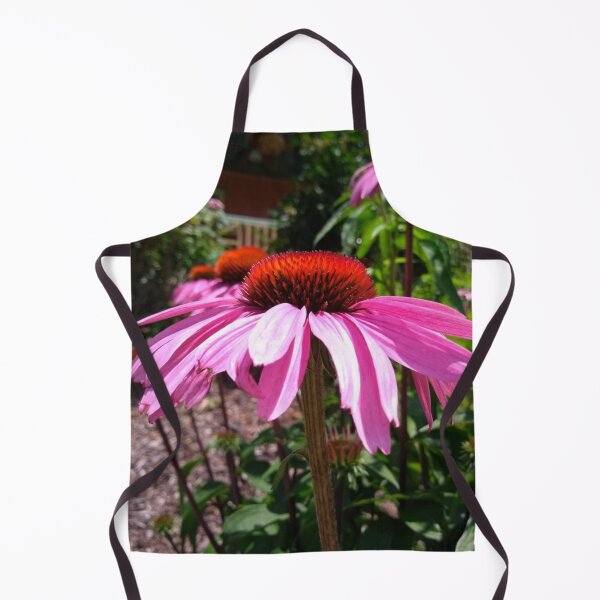 Item preview, Native Echinacea Flowering Plant also called Coneflower. designed and sold by EarthArtDesigns.