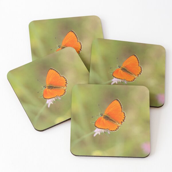 Item preview, Male Ducat Butterfly designed and sold by NW-Photo-Art.