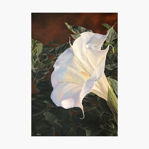 Aperçu de l'œuvre Moonflower II créée et vendue par Shari Chandler.