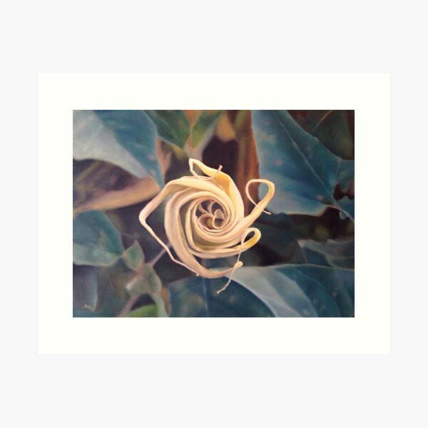 Waking Datura Art Print