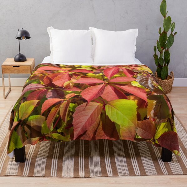 Item preview, Soft orange-red Virginia creeper leaves in autumn designed and sold by lena-maximova.