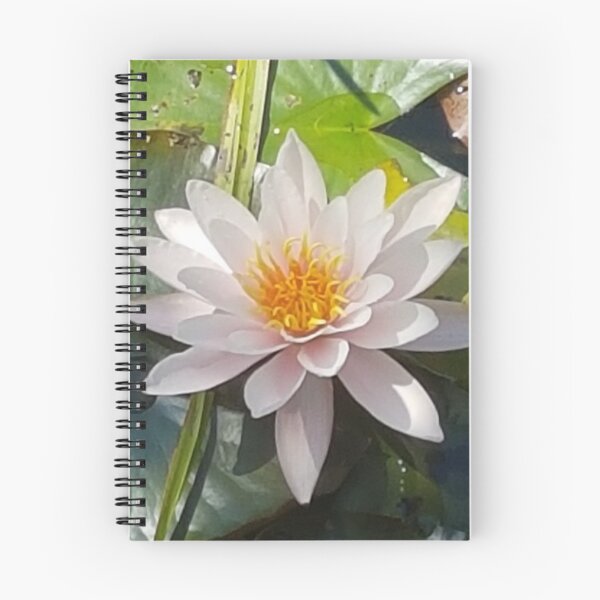 Item preview, Lirio de agua blanca designed and sold by AbnormalLoad.