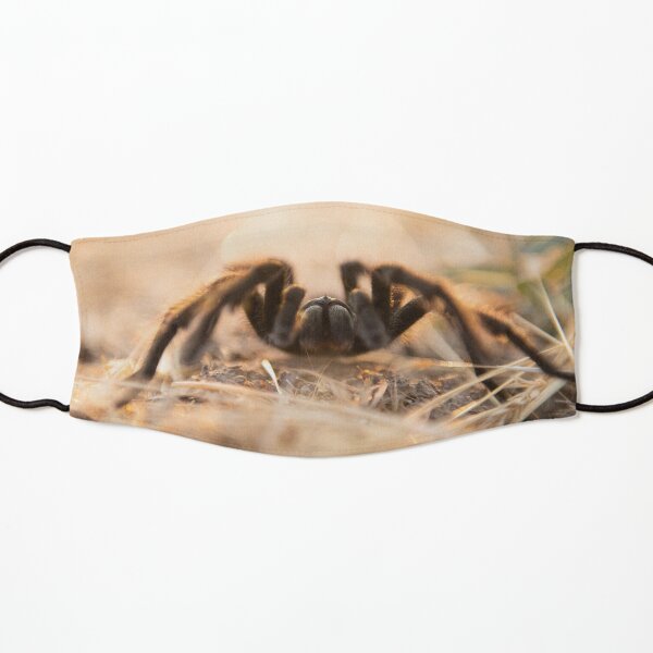 Tarantula Kids Mask