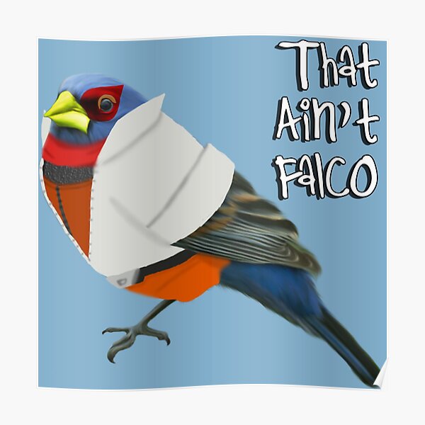 Das ist nicht Falco Poster
