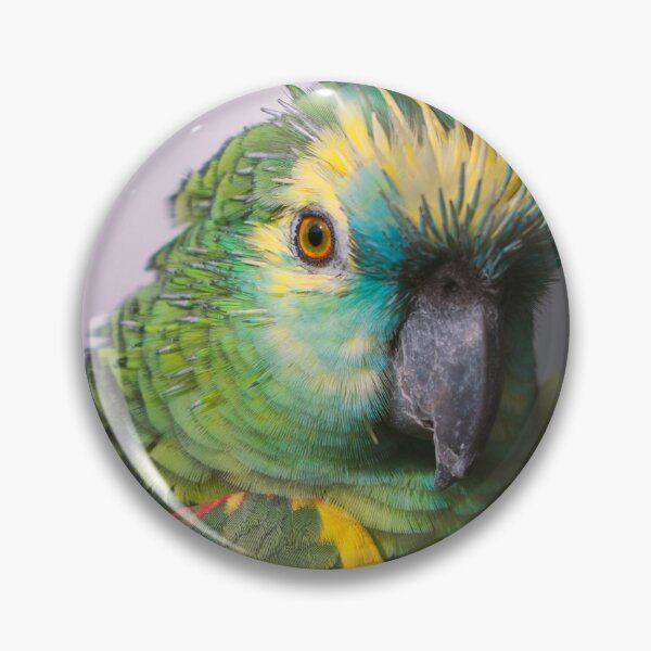 Artikelvorschau, Amazonas Papagei entworfen und verkauft von Nekaiida.